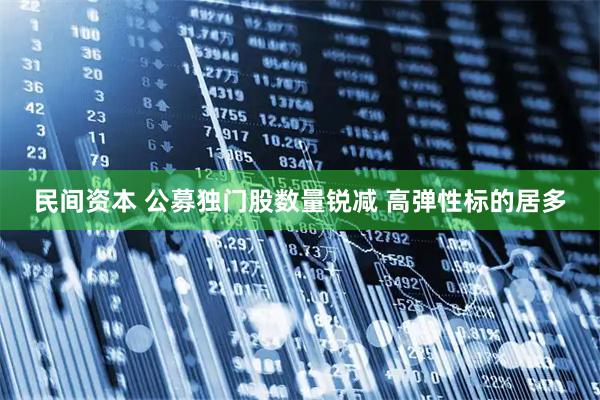 民间资本 公募独门股数量锐减 高弹性标的居多