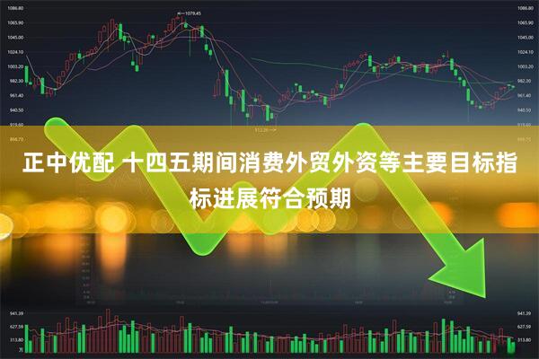 正中优配 十四五期间消费外贸外资等主要目标指标进展符合预期