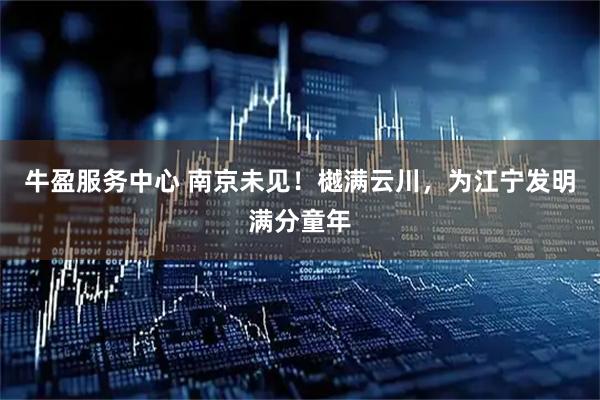 牛盈服务中心 南京未见！樾满云川，为江宁发明满分童年